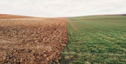 A field divided in the middle, on one side green lush, on the other brown dirt